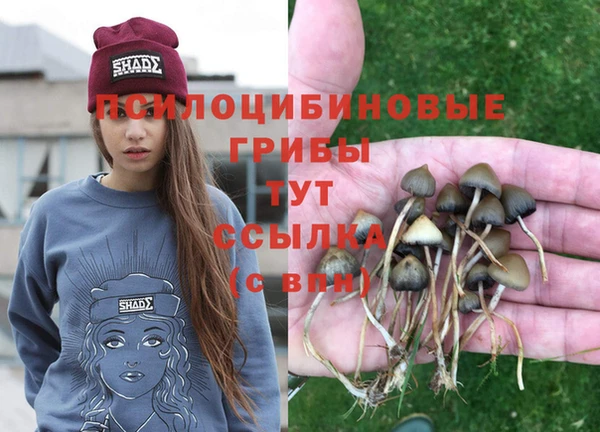 хмурый Алзамай