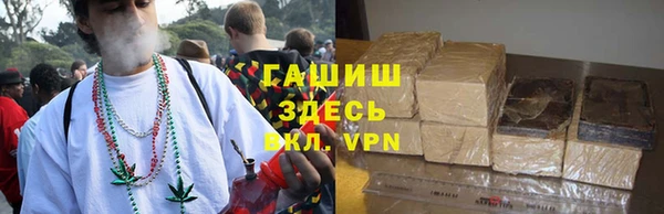 хмурый Алзамай