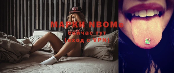 хмурый Алзамай