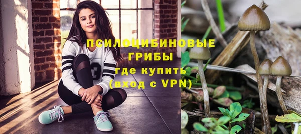 хмурый Алзамай