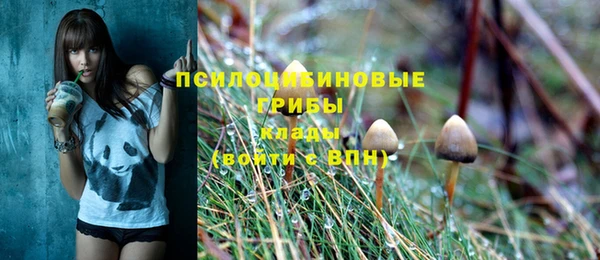 ALPHA PVP Алексеевка